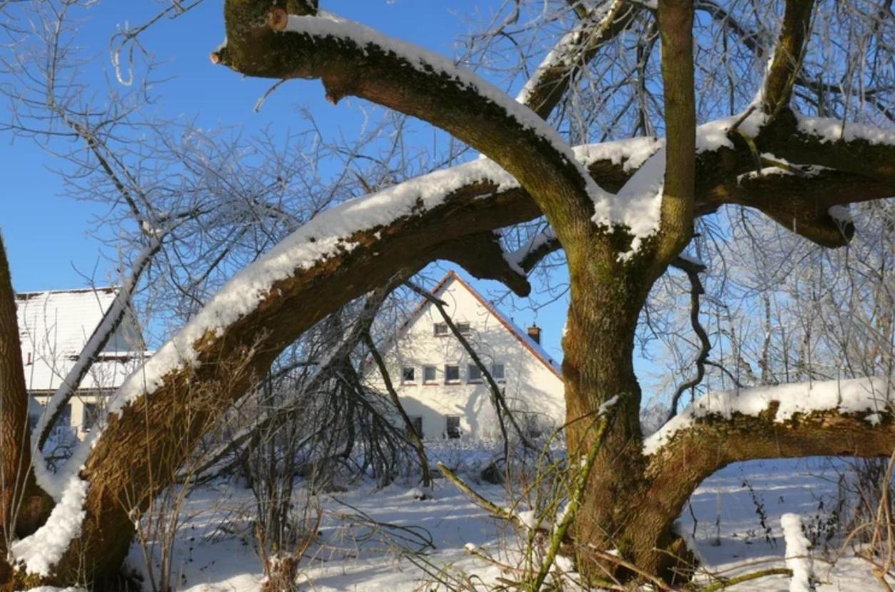 Kulturgutleben Boutiquehotel Seminarhaus Mollenbeck 外观 照片